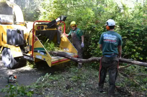 tree services Gustine